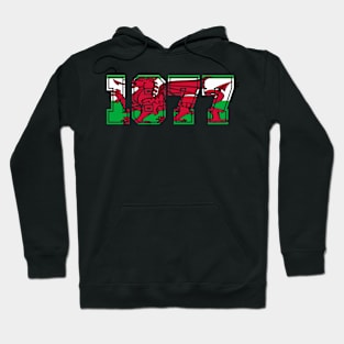 WELSH FLAG 1977 Hoodie